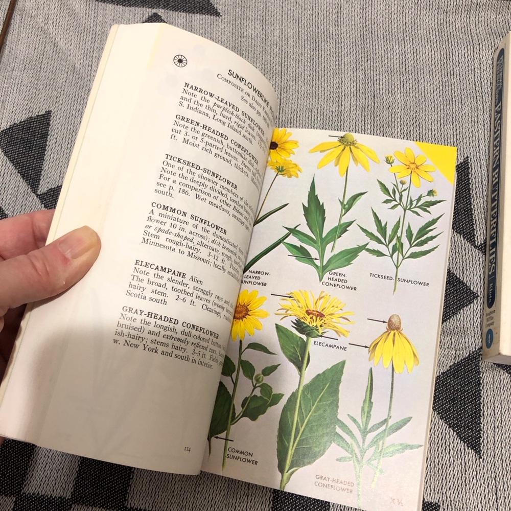 Peterson Field Guides: Wildflowers Book - Picture 2 of 6